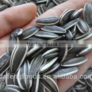 Hetao Sunflower Seeds5009.3939.3638.363,135.909 thumbnail-6