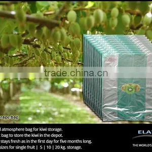 Pomegranate Protecting Bags thumbnail-5