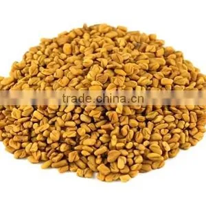 Fenugreek Seeds and Powder thumbnail-1