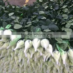 Kunming Fresh Cut Flowers Rose Flower thumbnail-1