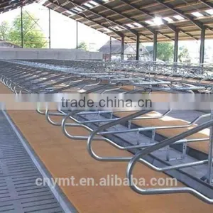 Cattle Farm Cattle Free Stall thumbnail-1