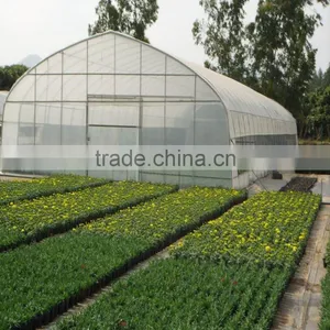 Economical Multi-span Greenhouse For Agriculture Polycarbonate Sheet thumbnail-1