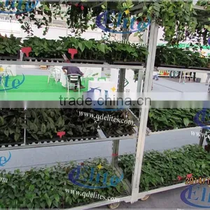 428 Danish Flower Trolley For Culture of Seedling thumbnail-4