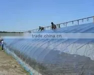 Agricultural Greenhouse Plastic Film thumbnail-1