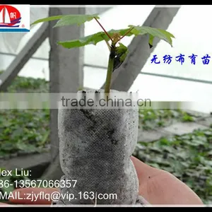 100% PP Spunbond Non-woven Fabric Used for Non Woven Seedling Bag thumbnail-1