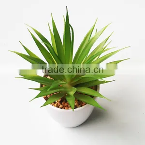 Wholesale Ornamental Plants Small Plastic Succulent Plant Bonsai thumbnail-2