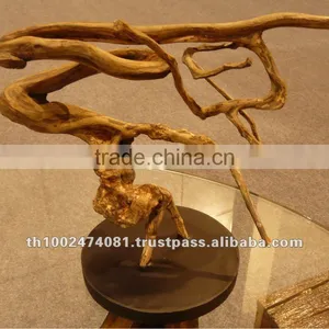 Tree Root thumbnail-1