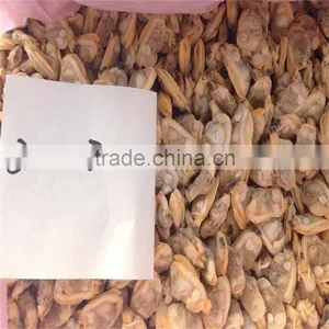 Hot Sales Frozen Surf Clam Meat thumbnail-2
