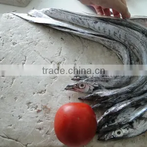 Best Price Chinese Frozen Fish Surimi to Make Fish Ball thumbnail-3