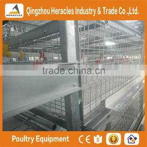 Shandong High Quality Trade Assurance Poultry Equipment Layer Chicken Cage for Sale thumbnail-6
