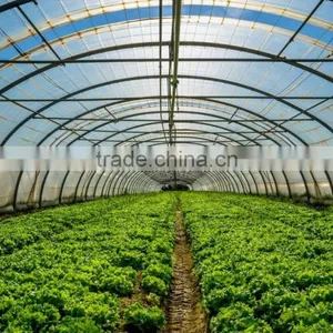 Low Cost Durable Single-span China Vegetable Tunnel Greenhouse thumbnail-1