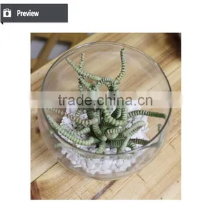 Artificial Preserved Succulents Artificial Potted Mini Succulent Plants Hot Sale Artificial Potted Plants thumbnail-3