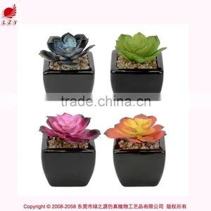 Mini Artificial Succulent Plants Artificial Succulents Tropical Plant Wholesale thumbnail-1
