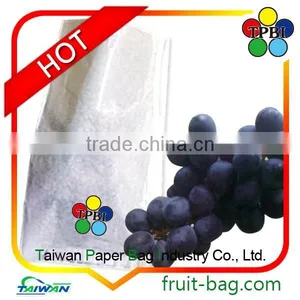 Waterproof Grape Bagging Grape Protection Bag Fruit Protection Bag thumbnail-1