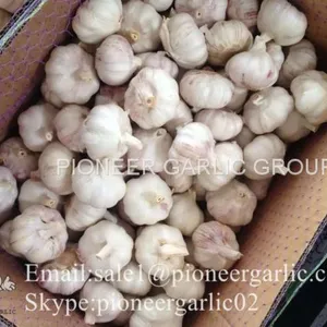 2017 Crop Snow Pure White Garlic 5.5cm In Carton Box thumbnail-4