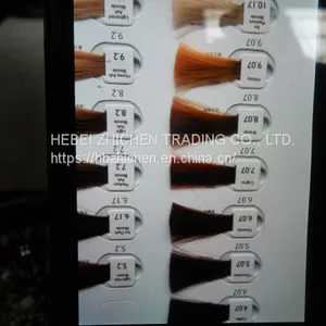 Detachable Hair Color Chart thumbnail-2