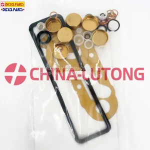 Diesel Pump Repair Kits-cummins Rebuild Kit 1 417 010 003 for ISUZU Ve Pump thumbnail-5