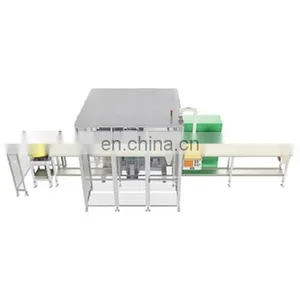 Automatic Gauging Machines for Cylinder Block, Cylinder Block Measuring Machine thumbnail-1
