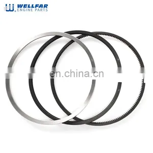 Wellfar Machinery Engine Parts DT466E DT530E Engine Piston Ring 1830723C92 1830724C92 thumbnail-3