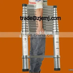Telescopic Ladder 2.9m thumbnail-1