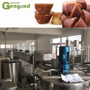 Brown Sugar Cube Jaggery Making Machine Line thumbnail-1