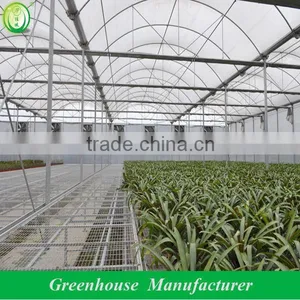 Plastic Greenhouses Sale thumbnail-1