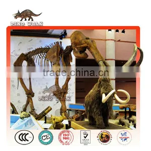 Life Size Plastic Dinosaur Fossil-Theme Park Equipment for Sale thumbnail-1