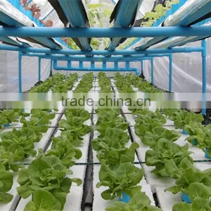 YiMing Standard Size Pvc Pipe of Irrigation thumbnail-1