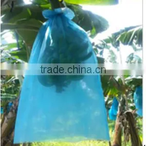 Blue PE Protective Film for Banana Grow Bag 80*160 thumbnail-1