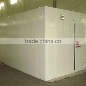 Portable Cold Storage for Food Preservation thumbnail-1