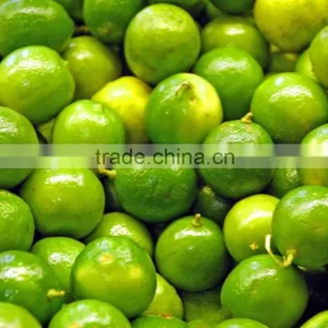 CHEAPER PRICE VIETNAM FRESH LIME thumbnail-1