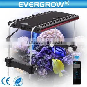 Chinese Cheap Coral Reef Used Led Aquarium Light for Freshwater Fish Tank thumbnail-1