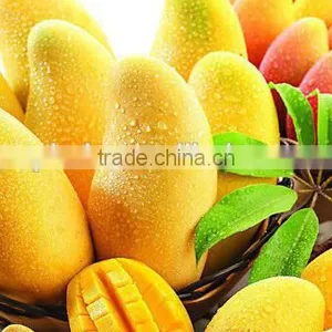 Good Quality Double Channel Pulper Machine With Reasonable Price thumbnail-6