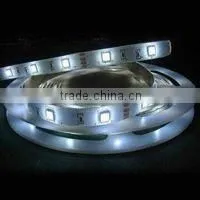 Smd5050 Led Flexible Strip 10000k Color Tempeture thumbnail-1