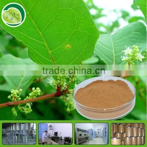 Professional GMP Certified Resveratrol Manufacturers thumbnail-1