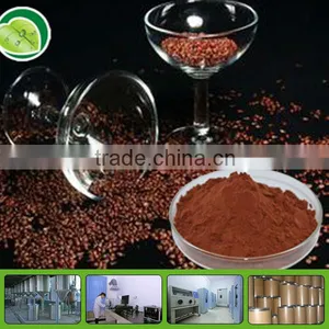 Organic Grapeseed Extract Grape Seed Extract Proanthocyanidins 95% thumbnail-1