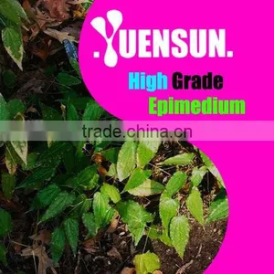 Epimedium Pubescens Extract Powder Icariin 5%~98% HPLC Discount Freight thumbnail-1