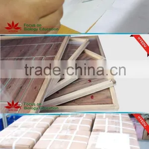 200kinds Prepared Slides , Mixed Glass Prepared Slides thumbnail-2