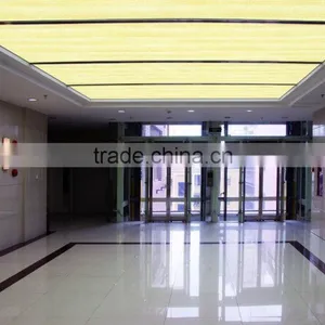 Hotel/Guestroom/Exhibition Large Space Ceiling PVC Printed Ceiling Film thumbnail-1