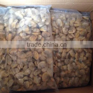 Frozen Short Neck Clam Meat thumbnail-3