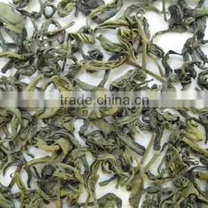 Moc Chau OP Green Tea Taste Wonderful thumbnail-1