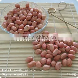 New Crops Red Skin Peanut Kernel thumbnail-1