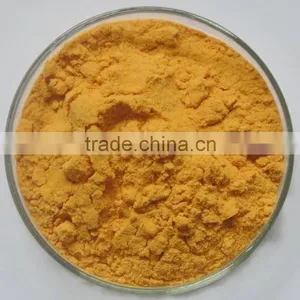 Chinese Wolfberry Extract Goji Berry Extract Powder thumbnail-1