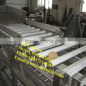 Apple Size Grading Machine / Fruit Polishing Sorting Machine thumbnail-5