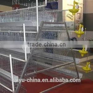 Poultry Farming Cages in Kenya thumbnail-4