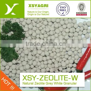 Clinoptilolite High CEC Green Nature Zeolite for Water Treatment thumbnail-5