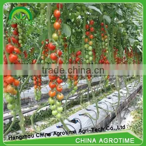 Indoor Hydroponics Growing System thumbnail-2