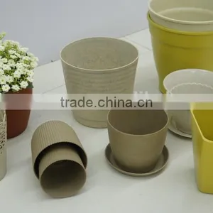 BIO-plastic Raw Material thumbnail-2