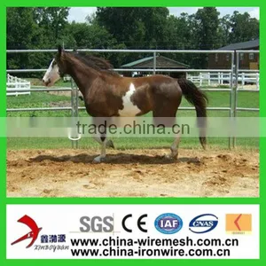 Cattle Guards/Horse Fence thumbnail-1