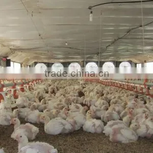 Poultry Fan/broiler Breeder House Fan/chicken Fan/egg Fan/cone Fan/chicken Farm thumbnail-4